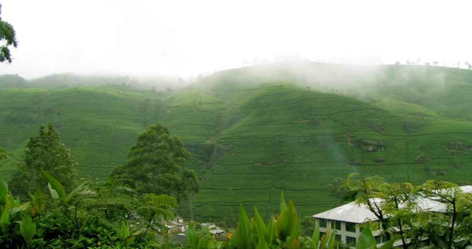 Nuwara Eliya